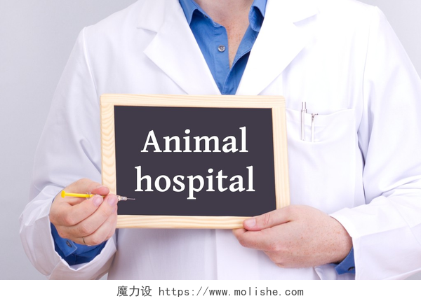 医生举着动物医院的小黑板医生在黑板上显示的信息: 动物医院